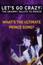 Watch Let\'s Go Crazy: The Grammy Salute to Prince Alluc