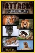 Watch National Geographic Attack Of The Big Cats Alluc