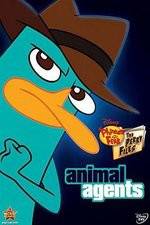 Watch Phineas And Ferb Animal Agents Alluc