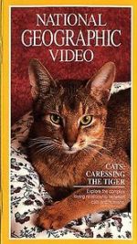 Watch Cats: Caressing the Tiger Alluc