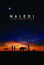 Watch Naledi: A Baby Elephant\'s Tale Alluc