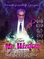 Watch The Mysterious Mr. Wizdom Alluc