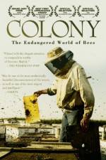 Watch Colony Alluc