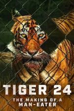 Watch Tiger 24 Alluc