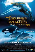 Watch Dolphins and Whales 3D Tribes of the Ocean Alluc