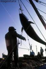 Watch National Geographic: Cheating Death Tuna Cowboys Alluc