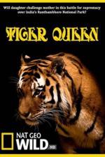Watch Tiger Queen Alluc