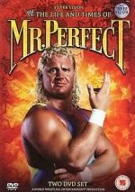 Watch The Life and Times of Mr. Perfect Alluc