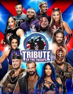 Watch WWE Tribute to the Troops Alluc