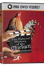Watch The Natural History of the Chicken Alluc