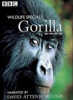 Watch Gorilla Revisited with David Attenborough Alluc