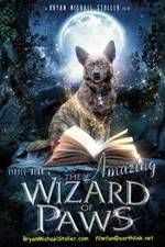 Watch The Amazing Wizard of Paws Alluc