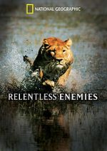 Watch Relentless Enemies Alluc