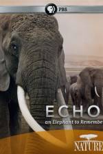 Watch Echo: An Elephant to Remember Alluc
