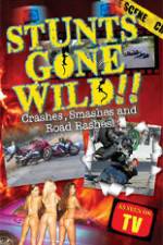 Watch Stunts Gone Wild: Crashes, Smashes & Road Rashes! Alluc