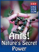 Watch Ants: Nature\'s Secret Power Alluc