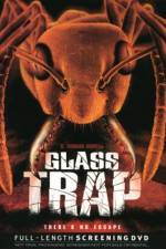 Watch Glass Trap Alluc