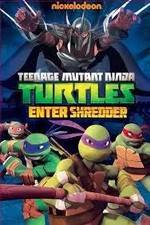 Watch Teenage Mutant Ninja Turtles: Enter Shredder Alluc
