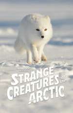Watch Strange Creatures of the Arctic (TV Special 2022) Alluc
