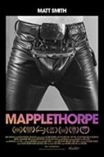 Watch Mapplethorpe Alluc