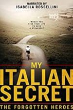 Watch My Italian Secret: The Forgotten Heroes Alluc