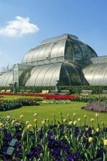 Watch Cruickshank on Kew: The Garden That Changed the World Alluc