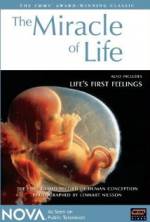 Watch The Miracle of Life Alluc