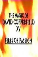 Watch The Magic of David Copperfield XV Fires of Passion Alluc