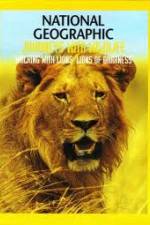 Watch National Geographic: Walking with Lions Alluc