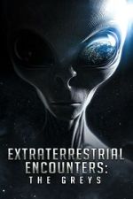 Watch Extraterrestrial Encounters: The Greys Alluc