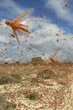 Watch Swarm Chasers: Locusts Alluc