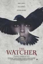 Watch The Ravens Watch Alluc