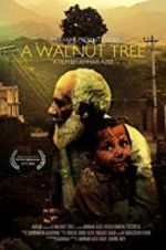 Watch A Walnut Tree Alluc
