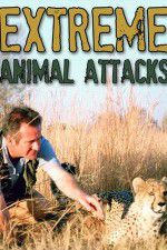 Watch Extreme Animal Attacks Alluc