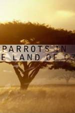 Watch Nature Parrots in the Land of Oz Alluc