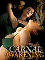 Watch Carnal Awakenings Alluc