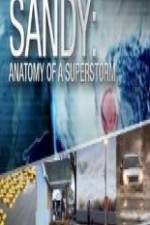 Watch Sandy Anatomy Of A Superstorm Alluc