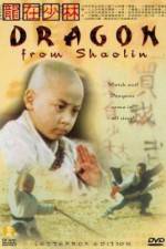 Watch Long zai Shaolin Alluc