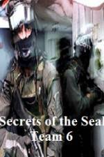 Watch Discovery Channel Secrets of Seal Team 6 Alluc