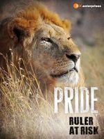 Watch Pride - Ruler\'s at Risk Alluc