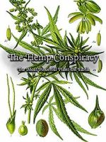 Watch The Hemp Conspiracy: The Most Powerful Plant in the World (Short 2017) Alluc