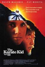 Watch The Karate Kid, Part III Alluc