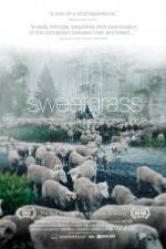 Watch Sweetgrass Alluc