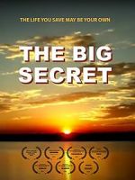 Watch The Big Secret Alluc