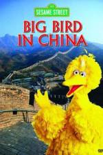 Watch Big Bird in China Alluc