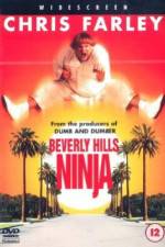 Watch Beverly Hills Ninja Alluc