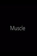 Watch Muscle Alluc