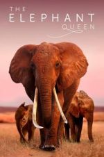Watch The Elephant Queen Alluc