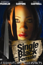 Watch Single Black Female Alluc