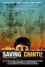 Watch Saving Chintu Alluc